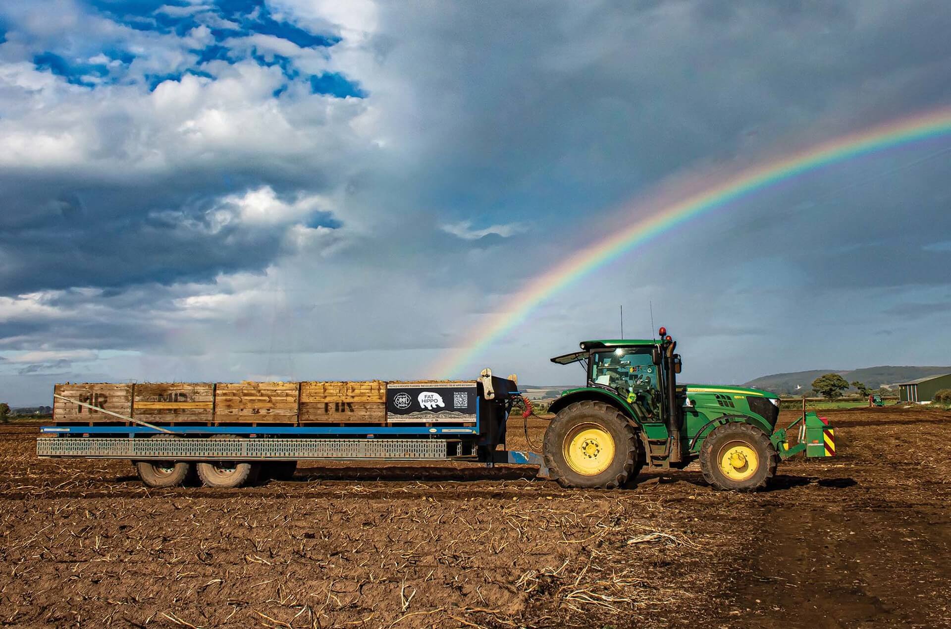 From field to fork fries